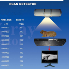 LA RADIOLOGIA DIGITALE - VETERINARI ASNAGHI & ANSELMI